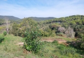 Sòl urbà en venda a la España, Sant Antoni de Calonge, ref.: TR175339 foto