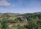 Sòl urbà en venda a la España, Sant Antoni de Calonge, ref.: TR175339 foto