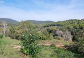 Sòl urbà en venda a la España, Sant Antoni de Calonge, ref.: TR175339 foto
