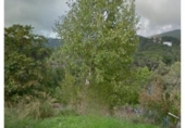 Sòl urbà en venda a la España, Sant Antoni de Calonge, ref.: TR175339 foto