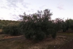Villargordo 15163&nbsp;m² 