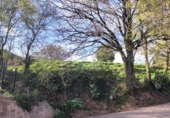 Sòl urbà en venda a la España, Vioño de Piélagos, ref.: TR241199 foto