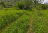Terreno no urbanizable en venta en la España, Río, ref: TR410632 foto