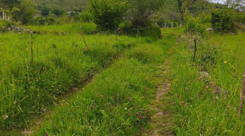 Cantàbria - Río - 460m2