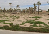 Terreno no urbanizable en venta en la España, Elche, ref: TR154547 foto