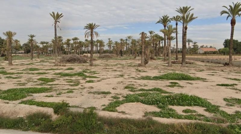 Alicante - Elche - 10647m2