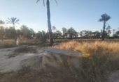 Terreno no urbanizable en venta en la España, Elche, ref: TR154547 foto