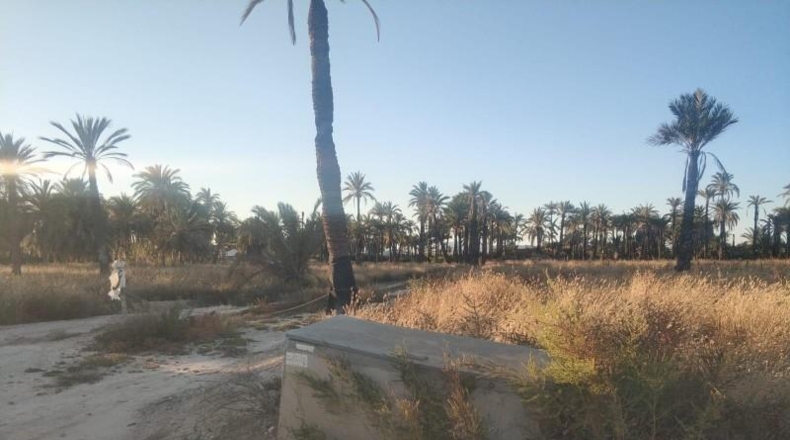 Alicante - Elche - 10647m2