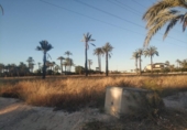 Terreno no urbanizable en venta en la España, Elche, ref: TR154547 foto