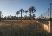 Terreno no urbanizable en venta en la España, Elche, ref: TR154547 foto
