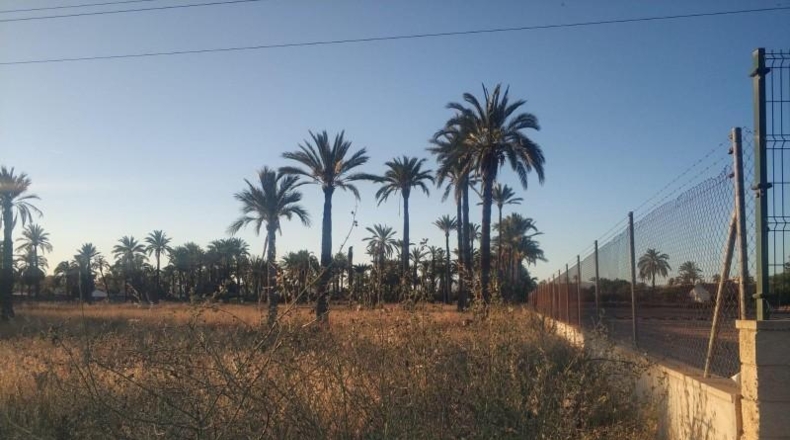 Alicante - Elche - 10647m2