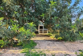 Cartagena 3100&nbsp;m²