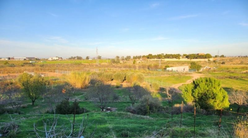 Murcia - Cartagena - 3100m2