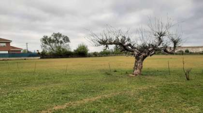 Leon - Villaquilambre - 866m2