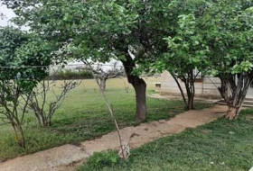 Foto 11