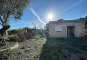 Casa de campo con terreno en venta en la España, Aspe, ref: TR380072 foto