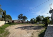 Casa de campo con terreno en venta en la España, Aspe, ref: TR380072 foto