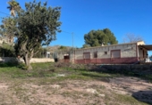 Casa de campo con terreno en venta en la España, Aspe, ref: TR380072 foto