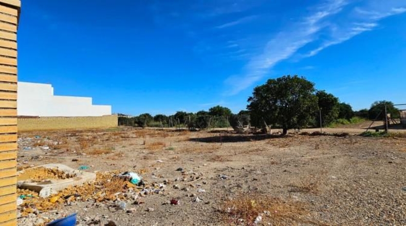 Sevilla - La Algaba - 1762m2