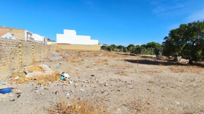 Sevilla - La Algaba - 1762m2