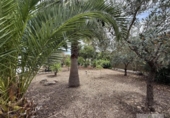 Detached villa with land for sale on España, Hinojos, ref: TR410658 photo
