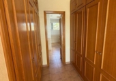 Chalet independiente con terreno en venta en la España, Elche, ref: TR410665 foto