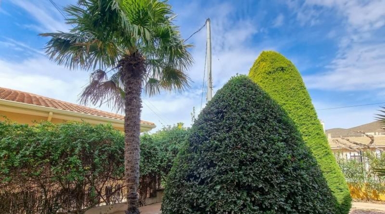 Alicante - Hondón de los Frailes - 1100m2