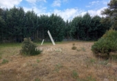 Suelo urbano en venta en la España, Villanueva de la Cañada, ref: TR369038 foto