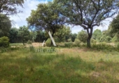 Suelo urbano en venta en la España, Villanueva de la Cañada, ref: TR369038 foto