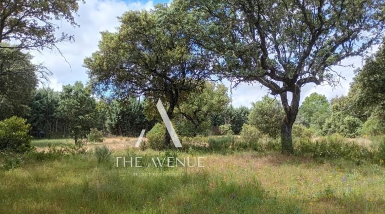 Community of Madrid - Villanueva de la Cañada - 4109m2