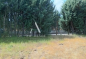 Suelo urbano en venta en la España, Villanueva de la Cañada, ref: TR369038 foto