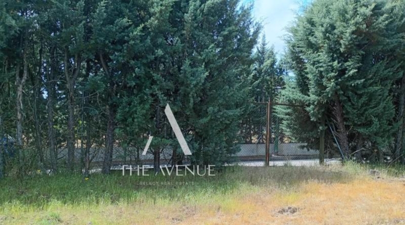 Community of Madrid - Villanueva de la Cañada - 4109m2