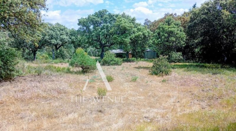 Community of Madrid - Villanueva de la Cañada - 4109m2