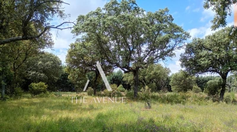 Community of Madrid - Villanueva de la Cañada - 4109m2