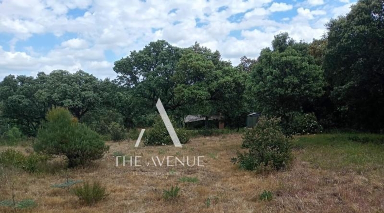 Community of Madrid - Villanueva de la Cañada - 4109m2
