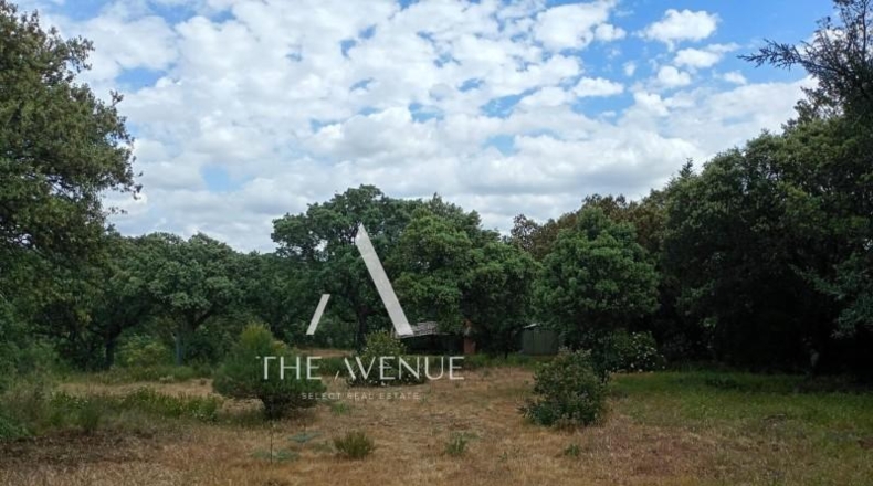 Community of Madrid - Villanueva de la Cañada - 4109m2