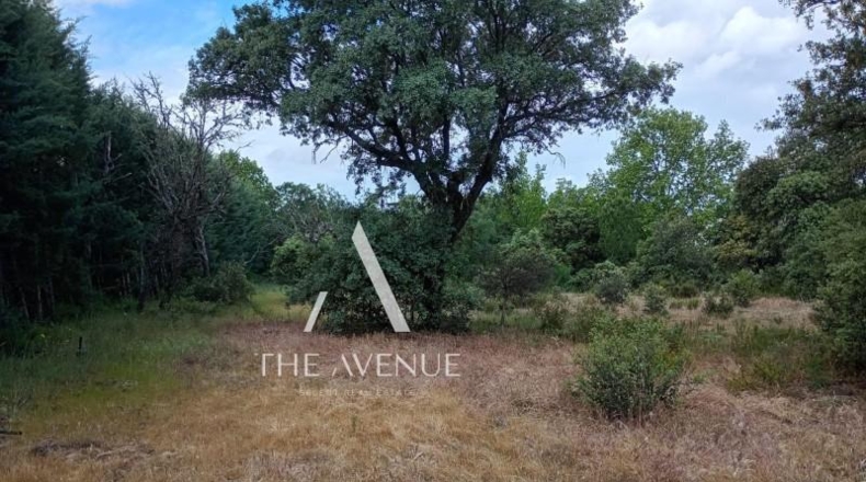 Community of Madrid - Villanueva de la Cañada - 4109m2