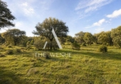 Suelo urbano en venta en la España, Villanueva de la Cañada, ref: TR369038 foto
