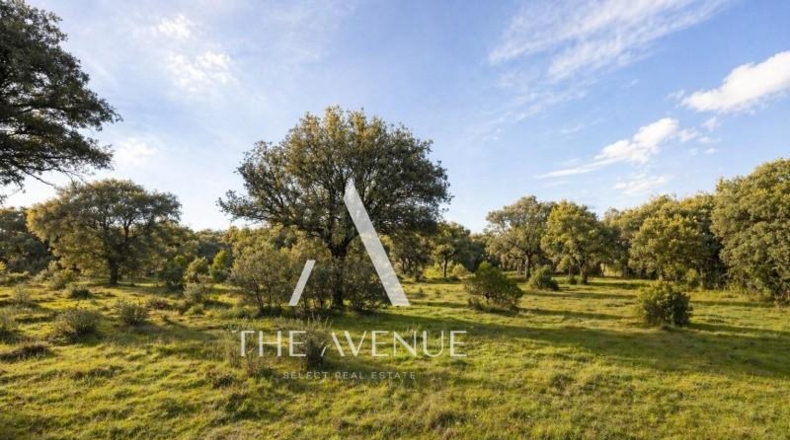 Community of Madrid - Villanueva de la Cañada - 4109m2