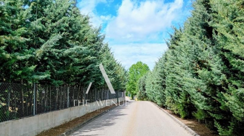 Community of Madrid - Villanueva de la Cañada - 4109m2