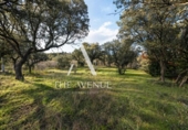 Suelo urbano en venta en la España, Villanueva de la Cañada, ref: TR369038 foto