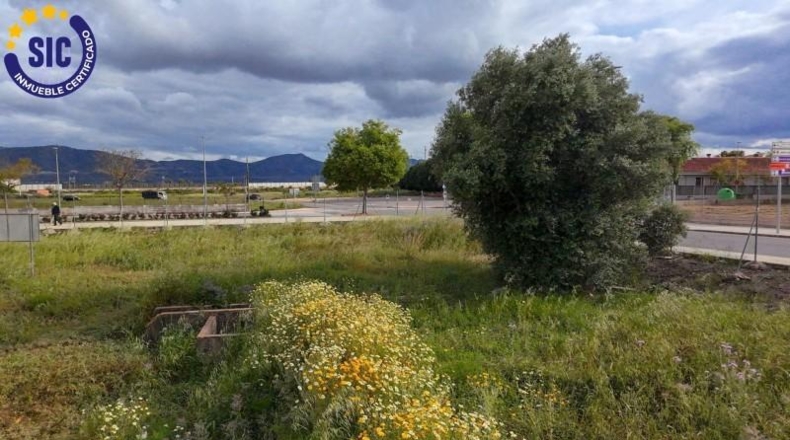Valencia - l'Alcúdia de Crespins - 4912m2