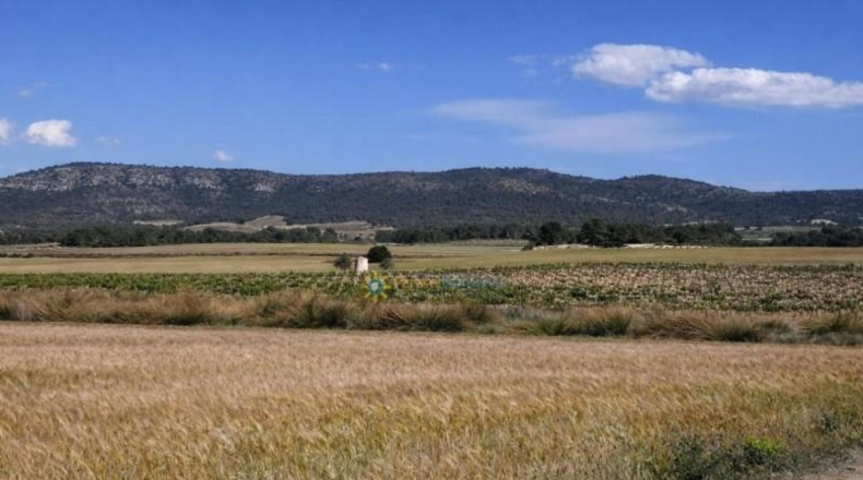 Burgos - Villatuelda - 1203929m2