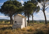 Detached villa with land for sale on España, Villena, ref: TR398480 photo
