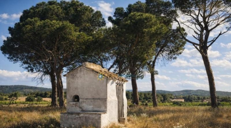 Burgos - Villatuelda - 1203929m2