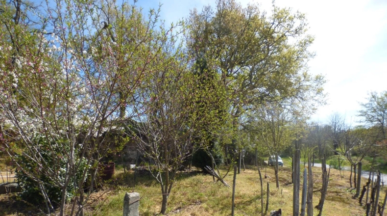 Orense - Gomesende - 1000m2