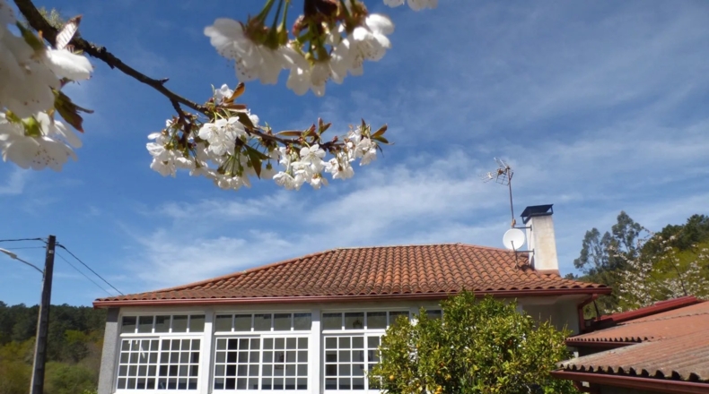 Orense - Gomesende - 1000m2