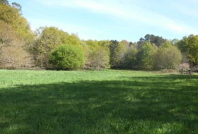 Gomesende 1000&nbsp;m² 