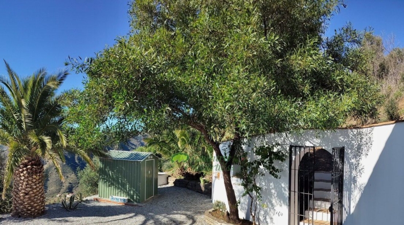 Málaga - Torrox - 1000m2
