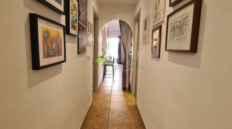 Malaga - Cómpeta - 2840m2